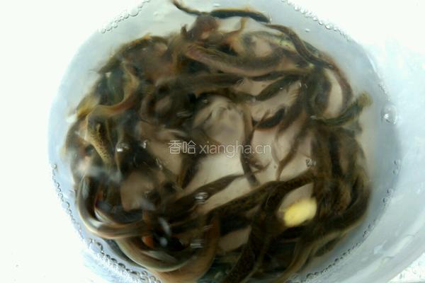 香煎泥鳅的做法图解1