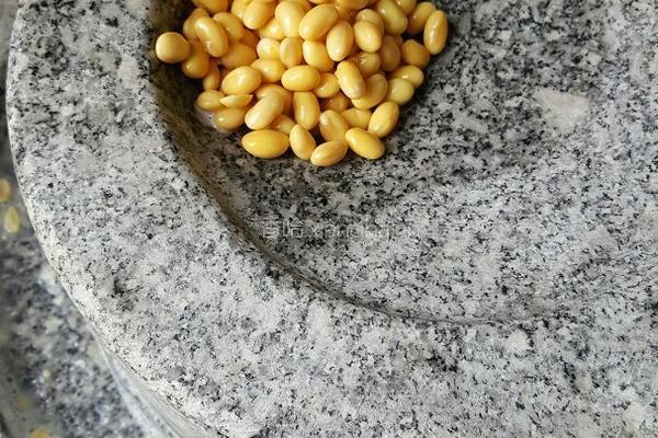 石磨甜豆花的做法图解3