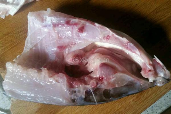 鲢鱼头豆腐汤的做法图解1