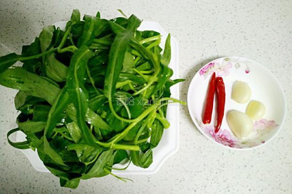 凉拌空心菜的做法图解1