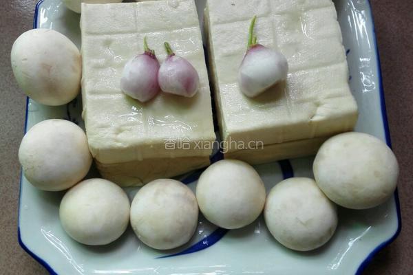 豆腐烧口蘑的做法图解1