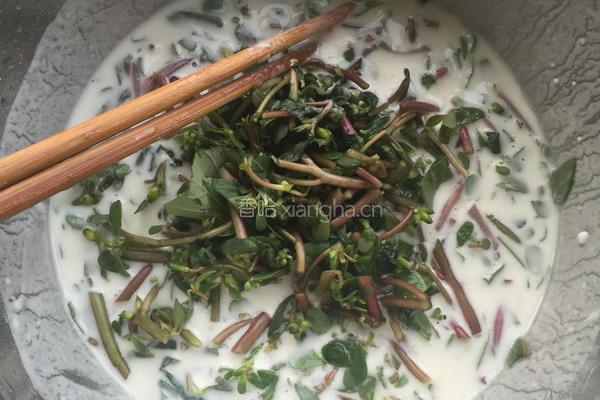 马齿菜烙饼的做法图解2