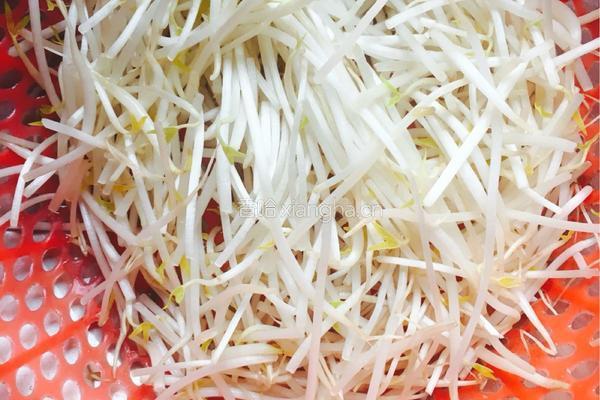 小炒豆芽肉丝的做法图解2