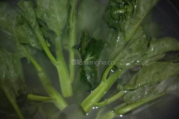 肉末芥兰的做法图解1