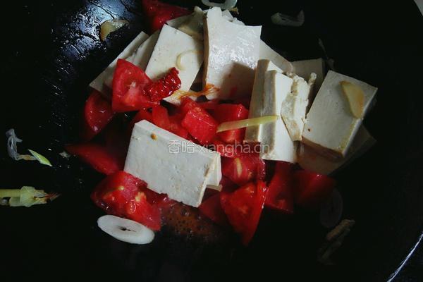 西红柿炖白菜豆腐的做法图解7