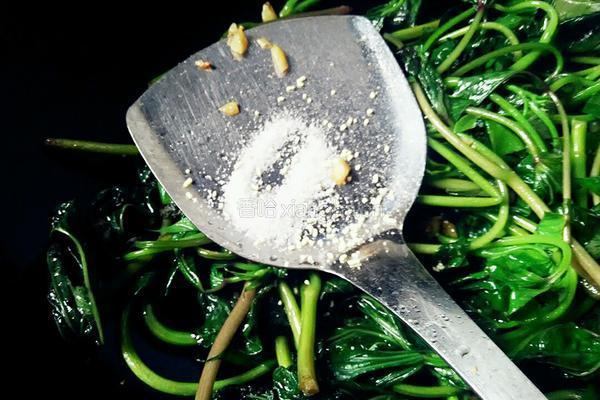 蒜香红薯叶的做法图解6