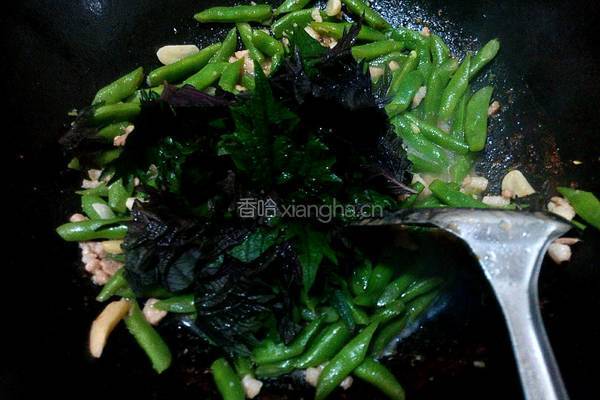 紫苏肉沫炒四季豆的做法图解6