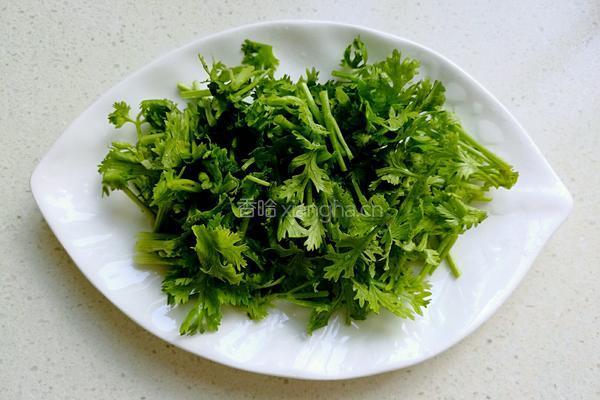 凉拌紫甘蓝的做法图解3