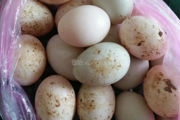自制皮蛋的做法的做法图解2