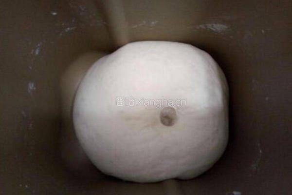 意大利披萨的做法图解3