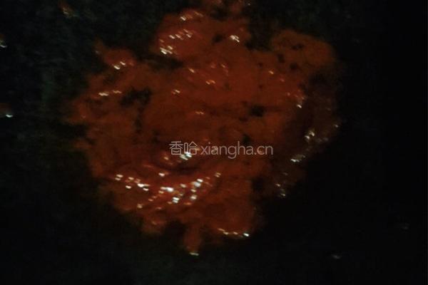 刘氏水耳饭的做法图解6