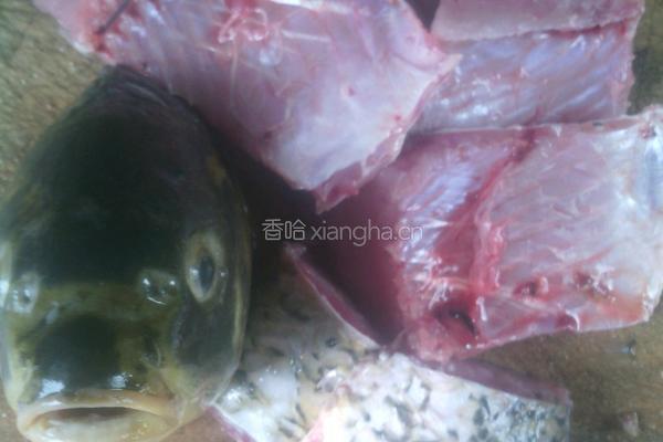 麻辣红烧鲤鱼的做法图解2