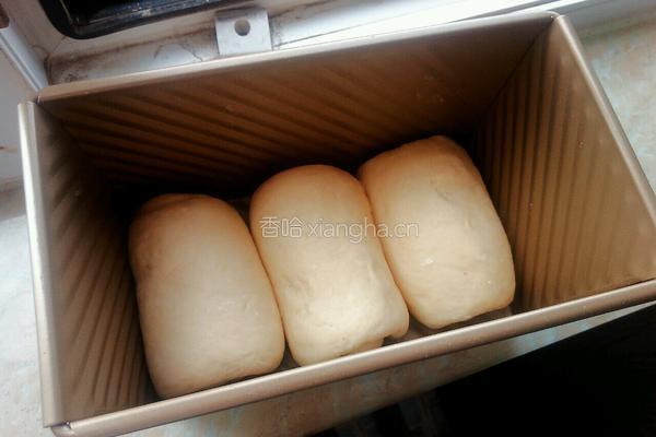 玉米吐司的做法图解9