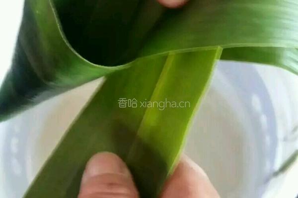 端午节粽子的做法图解5