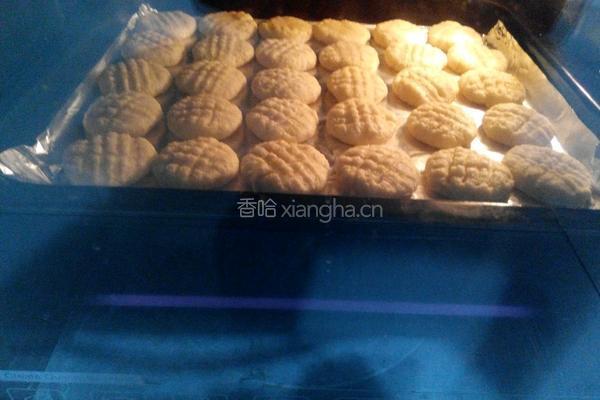 奶油椰蓉小饼干的做法图解13