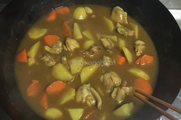 鸡肉咖喱的做法图解7
