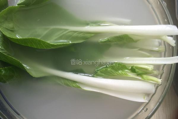 排骨青菜粥的做法图解3