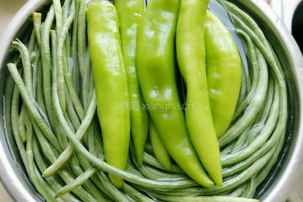东北烀豇豆尖椒咸菜的做法图解1