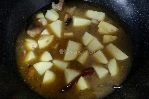 土豆炖肉的做法图解6