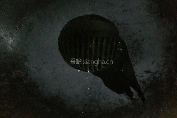 土豆香菇肉末饼的做法图解6