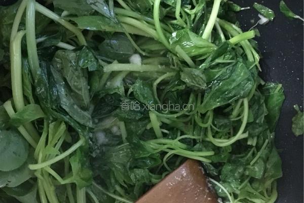 蒜香白苋菜的做法图解4