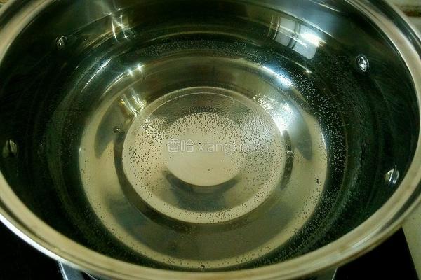 冰糖绿豆汤的做法图解3