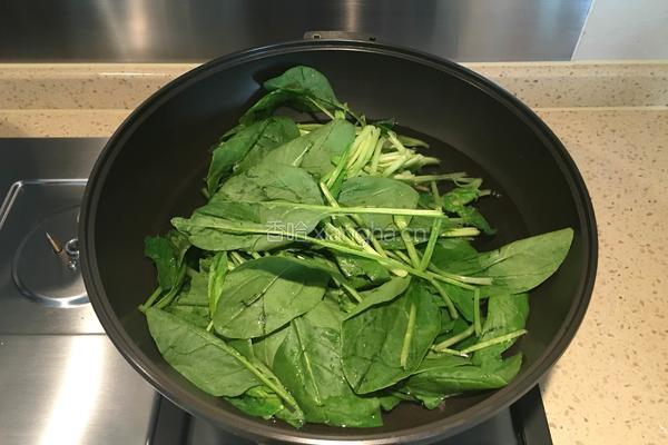 菠菜粉条的做法图解3