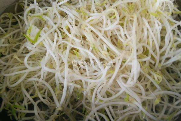 凉拌绿豆芽的做法图解3