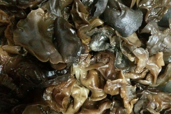 黑木耳炒鸡肉的做法图解1