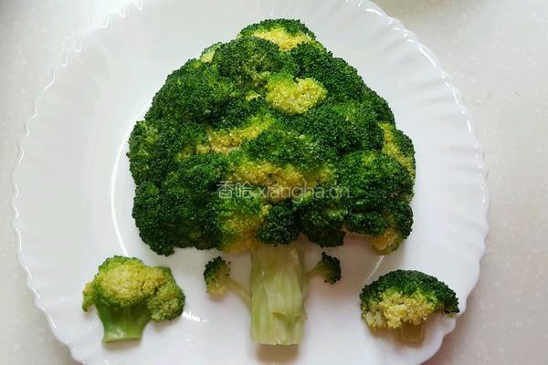西兰花树的做法图解8