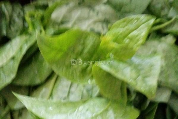 蒜片炒耳子菜的做法图解1