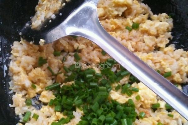 独家鱼香蛋炒饭的做法图解4