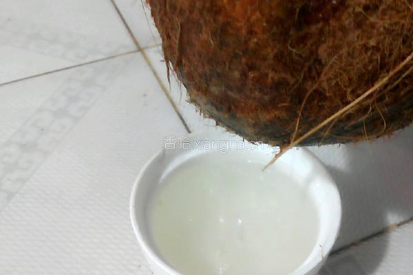 自制椰蓉的做法图解1