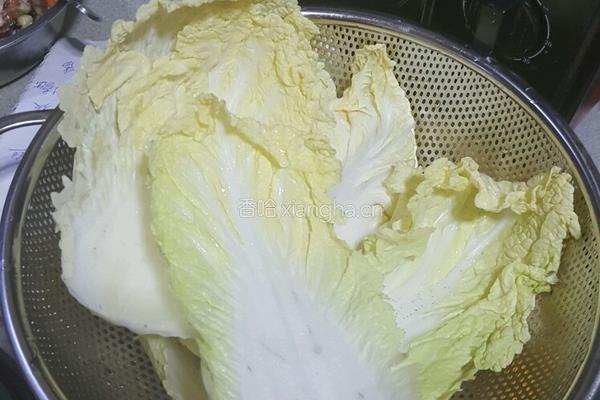 888发财菜子包的做法图解8