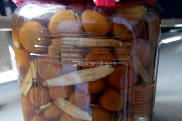 陈酿咸柑橘的做法图解6