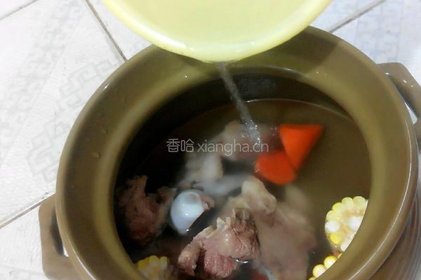 砂锅同骨玉米汤的做法图解5