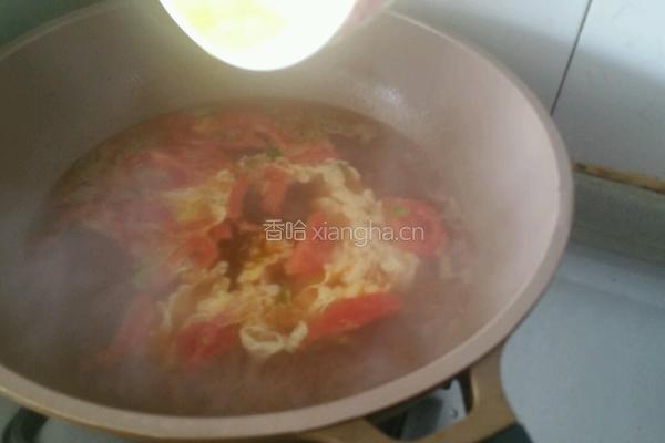 西红柿甩绣汤的做法图解4