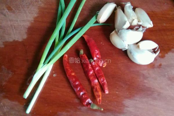 盐渍苦瓜的做法图解2