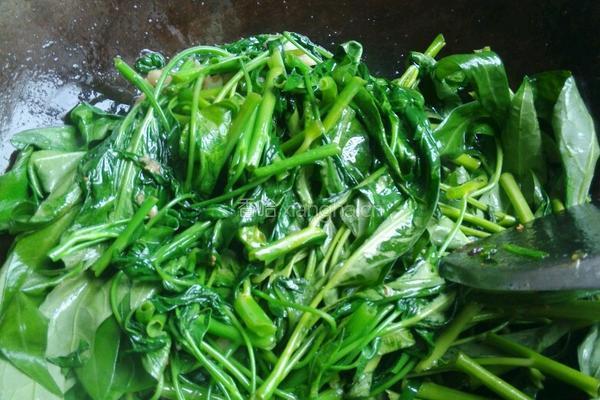 蒜泥空心菜的做法图解3