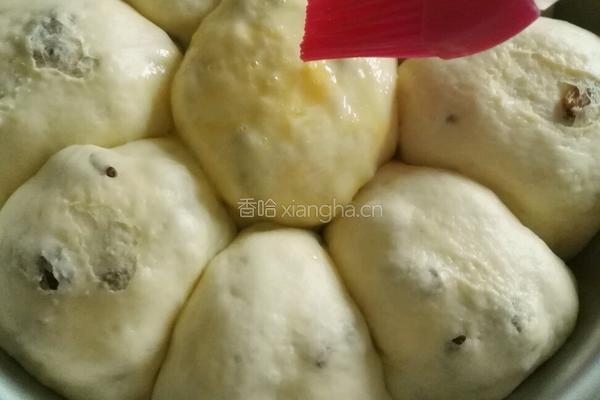 葡萄干花朵面包的做法图解12