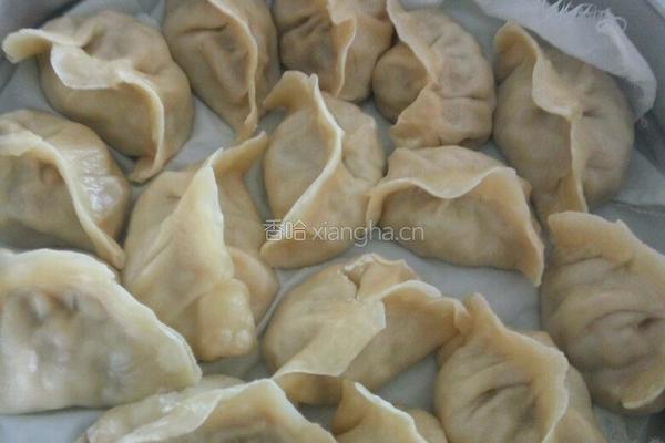 芸豆猪肉水饺的做法图解5