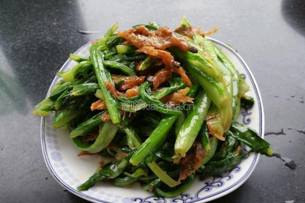 豆豉鲮鱼油麦菜的做法图解3