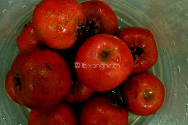 自制山楂片的做法图解1