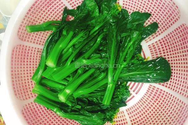 蒜蓉菜心的做法图解4