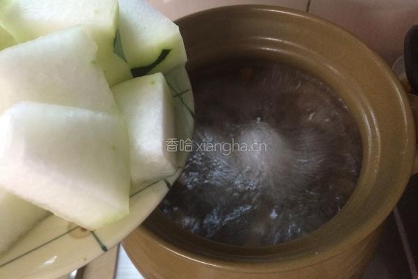 龙骨冬瓜汤的做法图解7