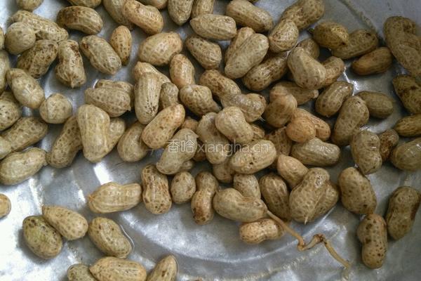 小麦花生糖水的做法图解3