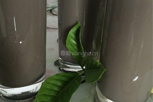黑豆核桃黑芝麻豆浆的做法图解7