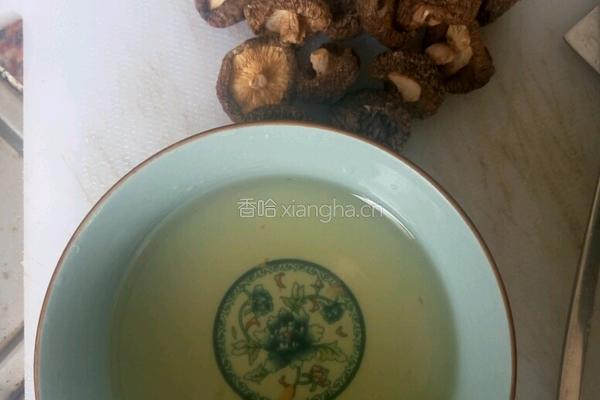 鸭肉饭的做法图解3