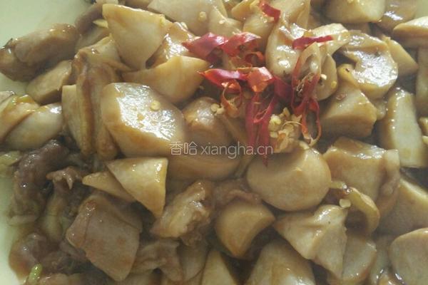肉炒杏鲍菇的做法图解8