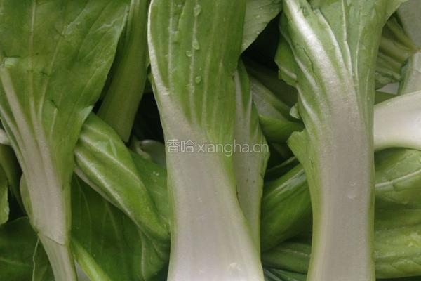 香菇油菜的做法图解1
